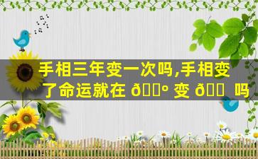 手相三年变一次吗,手相变了命运就在 🐺 变 🐠 吗